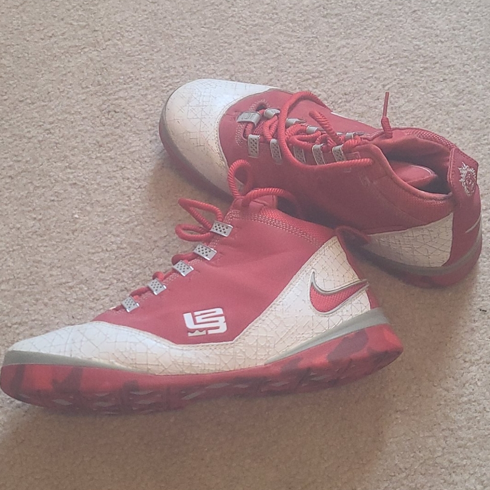 Lebron James Basketball Shoes 10.5